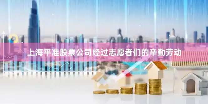上海平准股票公司经过志愿者们的辛勤劳动
