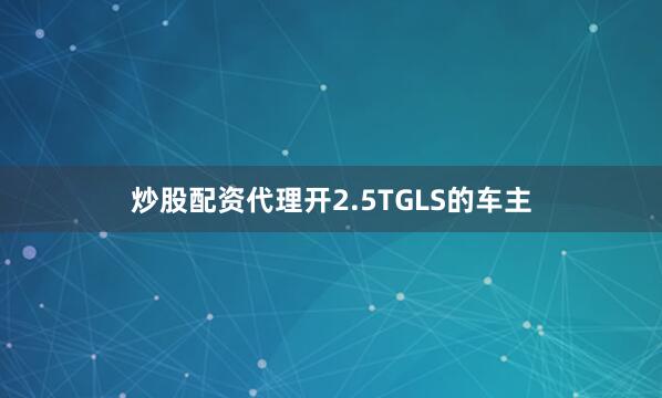 炒股配资代理开2.5TGLS的车主
