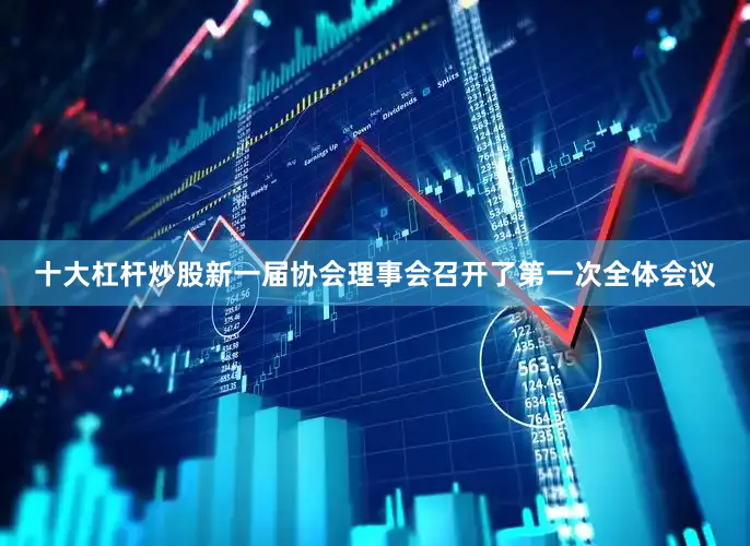 十大杠杆炒股新一届协会理事会召开了第一次全体会议