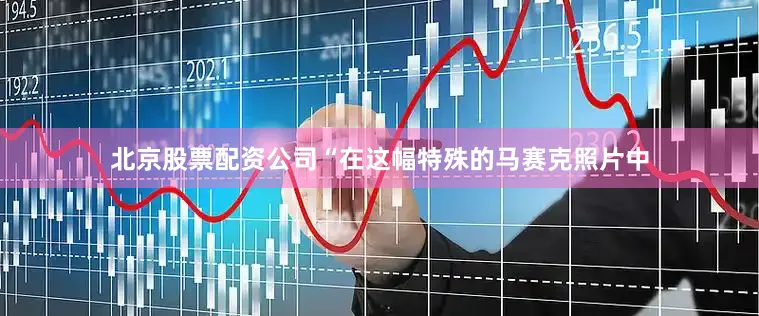北京股票配资公司“在这幅特殊的马赛克照片中